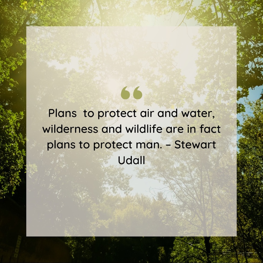 Eco-friendly Shipping